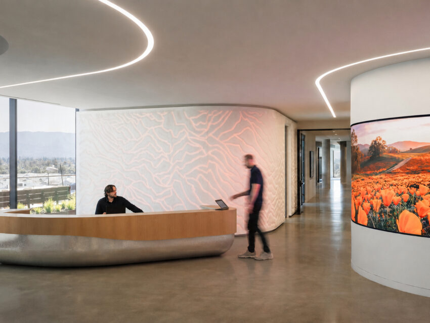 Global Professional Services Firm - Silicon Valley
